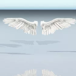 Angel or bird wings 3D model