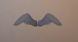 Angel Wings Low-poly  3D model