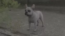 ANML-013 Dog 3D model