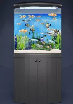 aquarium 3D model