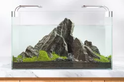Aquarium decoration made of rocks 3D model