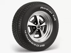 BFGoodrich Magnum Combo 3D model