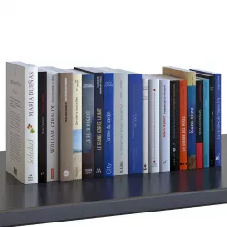 Books Set 09 Digest 3D model