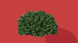 Brush 3D model