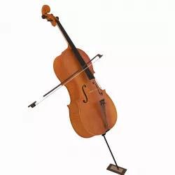 Cello 3D model