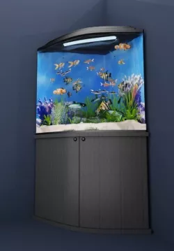 Corner aquarium 3D model
