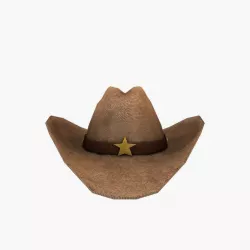 Cowboy Hat 3D model