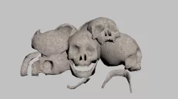 Cracked skulls and skull piles Low-poly  3D model