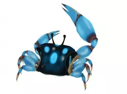 Cute Crab Low-poly  3D model