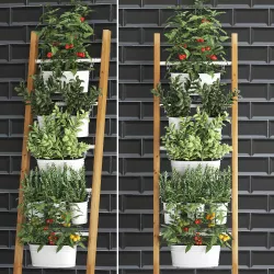 Decorative plants for the kitchen on railing 35 3D model