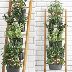 Decorative plants for the kitchen on railing 36 3D model