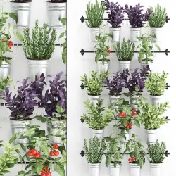 Decorative plants for the kitchen on railing 380 1 3D model