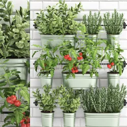decorative plants for the kitchen on railing 380 3D model
