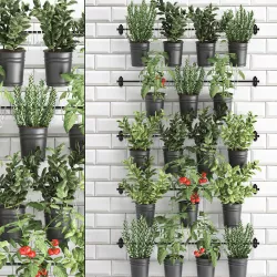 Decorative plants for the kitchen on railing 3802 3D model