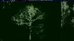EVERYPlant English Oak LowPoly 17 -- 10 Models Low-poly  3D model