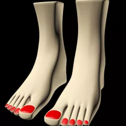 Female Feet 01 3D model