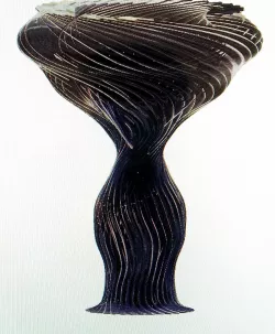 Fibonacci tornado vase 3D model