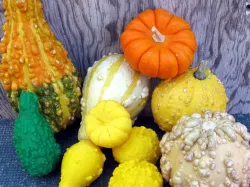 Five Gourds