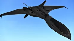 FLY Game-Ready - blackbird Low-poly  3D model
