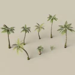 Game Ready Palm Tree Pack Low-poly  3D model