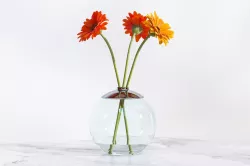 Gerberas in the sphere vase 3D model