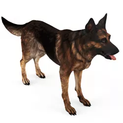 German Shepherd Dog Low-poly  3D model