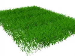 Grass 3D model