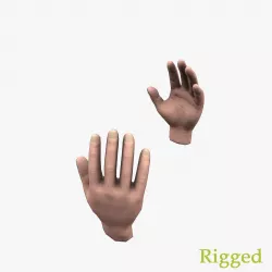 Hands Low-poly  3D model
