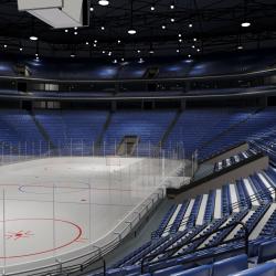 hockey arena 3d models 【 STLFinder