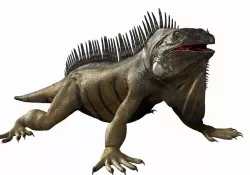 Iguana reptile - Feature film quality asset PBR 8k textures 3D model