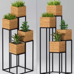 Indoor plants - shelf with plants 3D model