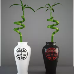 Lucky Bamboo 3D model