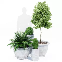 Mone studio pot 3D model