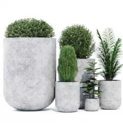 Mone two 3D model