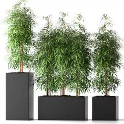 plant 3ds max modal 3D model