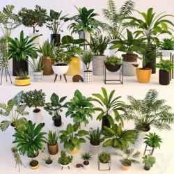 Plants 3D model