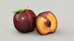  Plum 3D Model 3D model