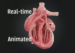Realistic Human Heart Low-poly 3D model