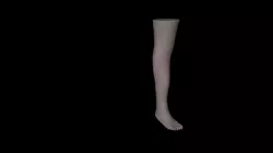 Rigging foot 3D model