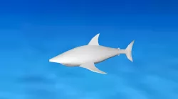 Shark Low Poly Low-poly  3D model