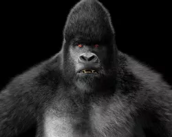 Silverback Mountain Gorilla Rigged Hair fur Low-poly  3D model