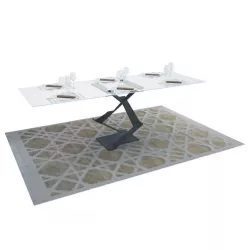 Table and Carpet 3D model
