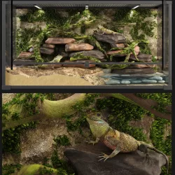 Terrarium Agama 3D model