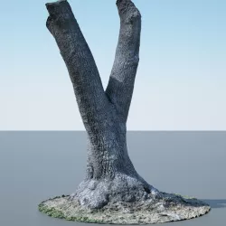 Tree Trunk - 09 3D model