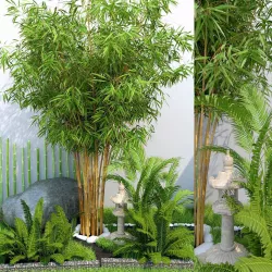Tropical Garden Home Garden 3D model