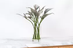 White elegent flowers in a glass vase 3D model