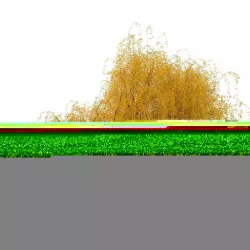 willow  fall tree 3D model