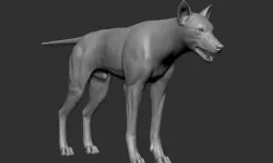 WOLF 3d model  Sculpting 3D model