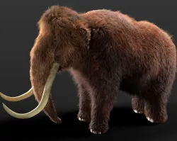 Woolly Mammoth Rigged Hairs Low-poly  3D model