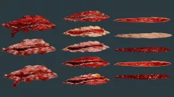 13 Skin Cuts Seamless PBR Textures with Alpha Map Texture